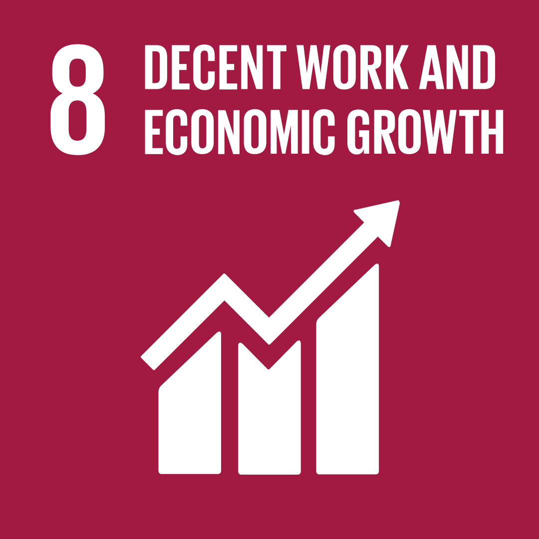 SDG 8